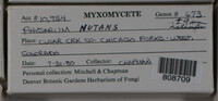 Image Associated With the Occurence